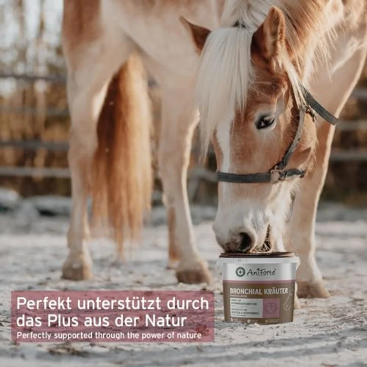 AniForte Bronchial Kräuter, 1 kg zur Unterstützung der Atemwege für Pferde, frei von Zusatzstoffen – Bild 7