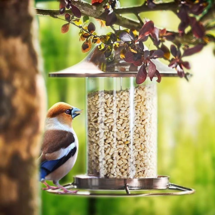 Paul´s Mühle Erdnüsse für Vögel, gehackte Erdnusskerne, 10 kg, Premiumqualität aus Argentinien, ganzjähriger Vogelsnack – Bild 5