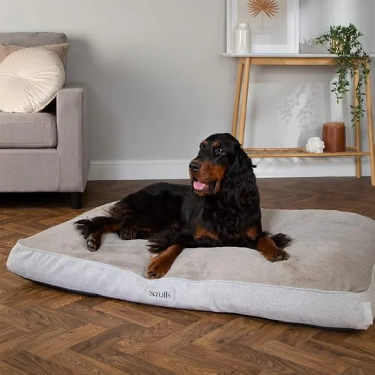 Scruffs Harvard Memory Foam Orthopädische Hundematratze für Hunde mit Gelenkschmerzen (XL), wasserfest, grau – Bild 4
