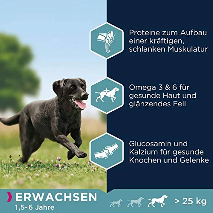 Eukanuba Hundefutter mit frischem Huhn für große Rassen, Premium Trockenfutter für ausgewachsene Hunde, 15 kg, mit Glucosamin und Omega-Fettsäuren – Bild 5