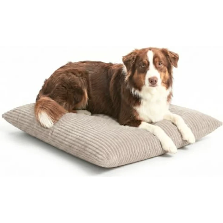 4L Textil Molly Hundebett, waschbares Hundekissen aus Cord, beidseitig nutzbar, für kleine und mittelgroße Hunde – Bild 1