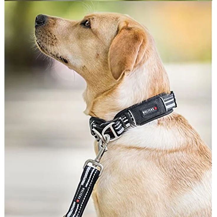 Wolters Active Pro Hundehalsband Gr.3 45-52 cm x 4 cm, champagner/silber, gepolstert mit atmungsaktivem Mesh, reflektierende Nähte, inkl. Leine – Bild 4