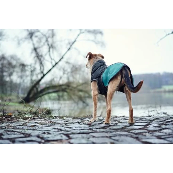 Hunter Hunde-Mantel Uppsala Allrounder anthrazit-petrol 40 cm – Bild 8
