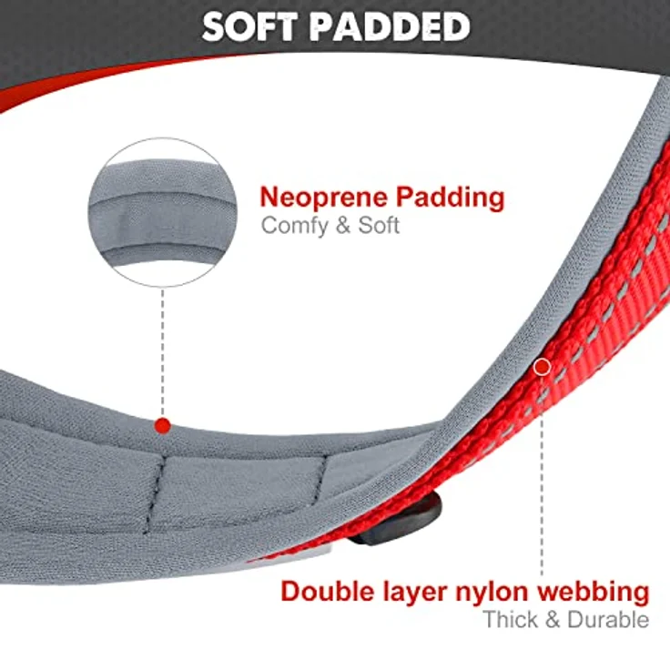 Joytale Hundehalsband, Gepolstertes Neopren-Halsband für Mittelgroße Hunde, Nylon mit Reflektierenden Nähten, Rot – Bild 2