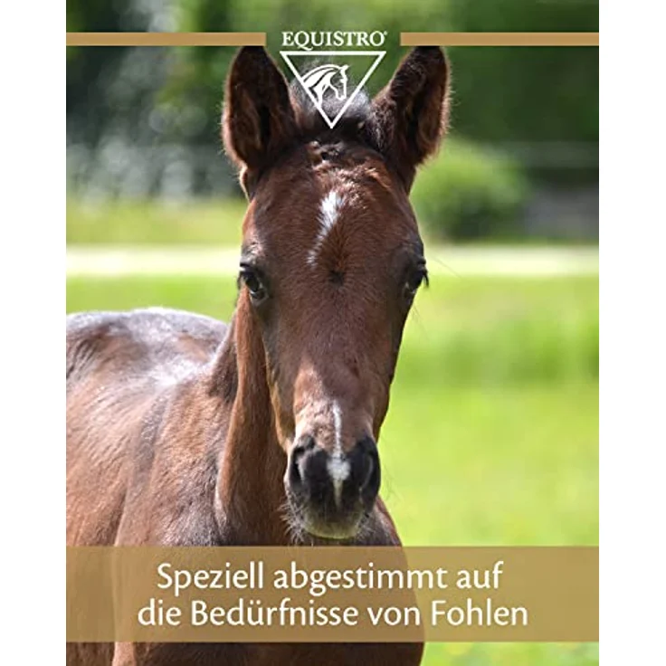 EQUISTRO® Ipaligo Foal, Ergänzungsfuttermittel für Fohlen mit essentiellen Vitaminen, Mineralstoffen & Aminosäuren, 3x14g – Bild 2
