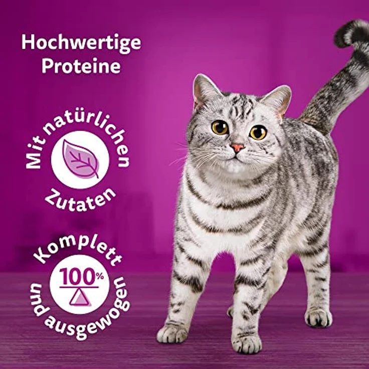Whiskas 1+ Katzennassfutter Ragout Geflügel Auswahl in Gelee, 40x85g, schadstofffrei, nährstoffreich, Portionsbeutel – Bild 3