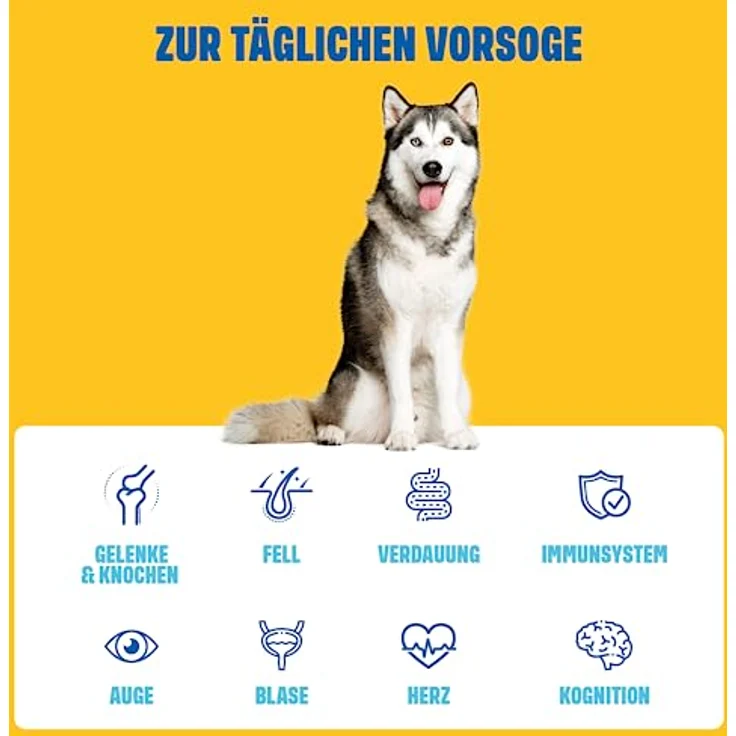 ivvi Multivitamin für Hunde als Leckerli – Probiotika, B Vitamine, Omega 3, Grünlippmuschel, Cranberry, 60 Snacks (270g) mit Hühnchen – Bild 3
