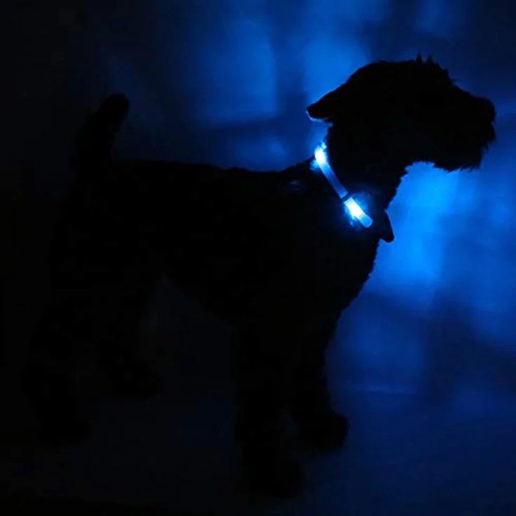 Leuchtie Leuchtie Plus, Leuchthalsband mit Leine für Hunde, 100 Stunden Leuchtkraft, verschiedene Farben verfügbar – Bild 2