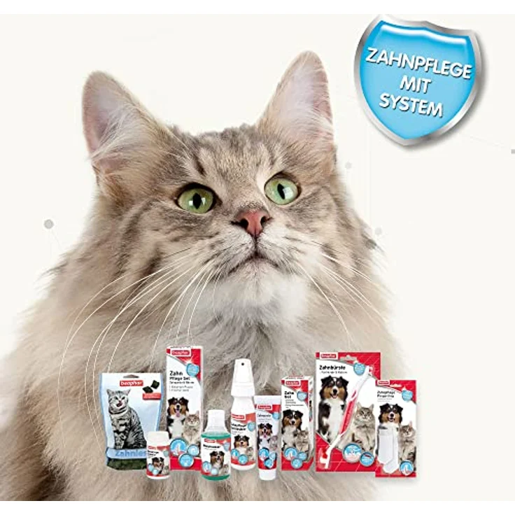 Beaphar Zahnies für Katzen, Katzensnack zur Zahnhygiene, 150 g Packung – Bild 5