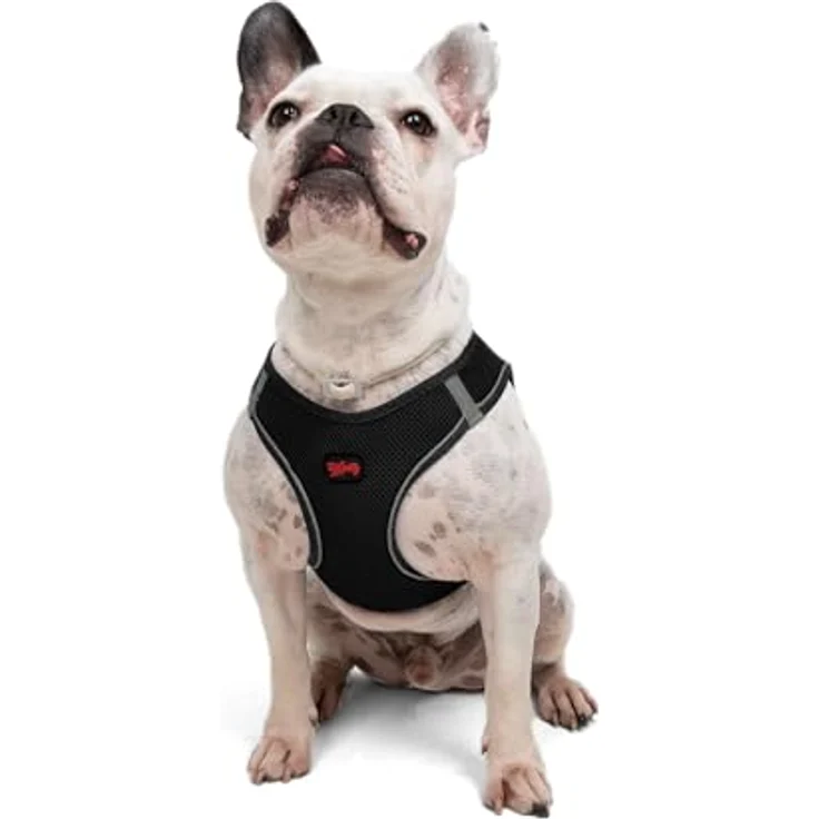 Tailpetz Air-Mesh Brustgeschirr für kleine und mittelgroße Katzen und Hunde – Weich, Atmungsaktiv, Strapazierfähig, Schwarz, L (Brustumfang 59–63,5 cm) – Bild 1