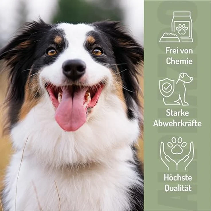 alphazoo Bierhefe Tabletten für Hunde & Katzen, 180g - natürliche Quelle für Vitamin-B-Komplex & Biotin zur Unterstützung von Haut, Fell & Krallen, ohne Zusätze – Bild 5