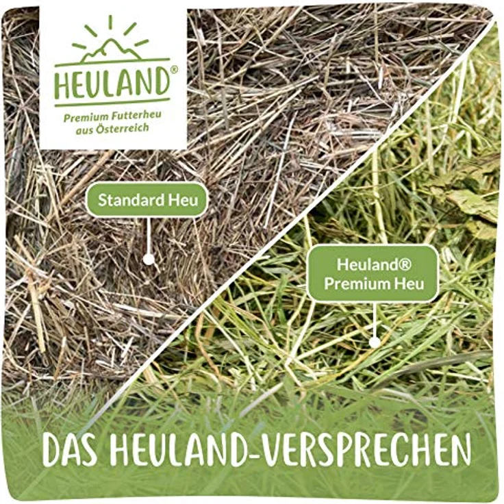 HEULAND® Premium Heu, 4 kg frisches Bergwiesenheu mit wertvollen Kräutern, ideal für Kleintiere wie Kaninchen, Meerschweinchen und Hamster – Bild 5