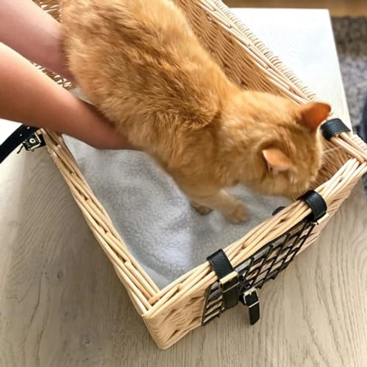 Aumüller Katzentransportkorb aus gesottener Weide, rechteckig mit abnehmbarer Gittertür, 53 x 30 x 32/39 cm, handgefertigt in Deutschland – Bild 4