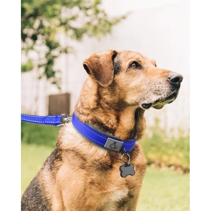 Joytale Gepolstertes Neopren Hundehalsband für Extra Große Hunde, Nylon Reflektierend, Breit, Königsblau, Größe 58–68 cm – Bild 3