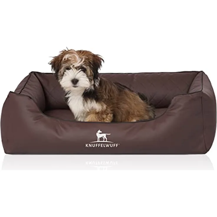 wolke 7 hundebett orthopdisch Hundebett WOLKE 7 - weiches Donut-Bett
