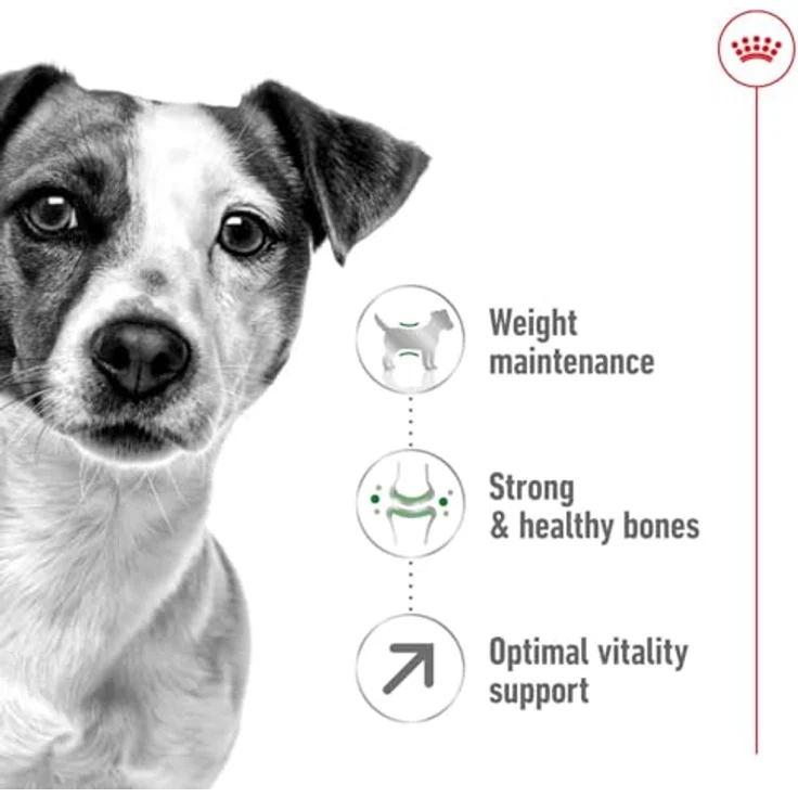 Royal Canin Mini Adult 8+, Trockenfutter für kleine Hunde (bis 10 kg) ab 8 Jahren, 4 kg, mit Antioxidantienkomplex und L-Carnitin zur Unterstützung der Vitalität – Bild 2