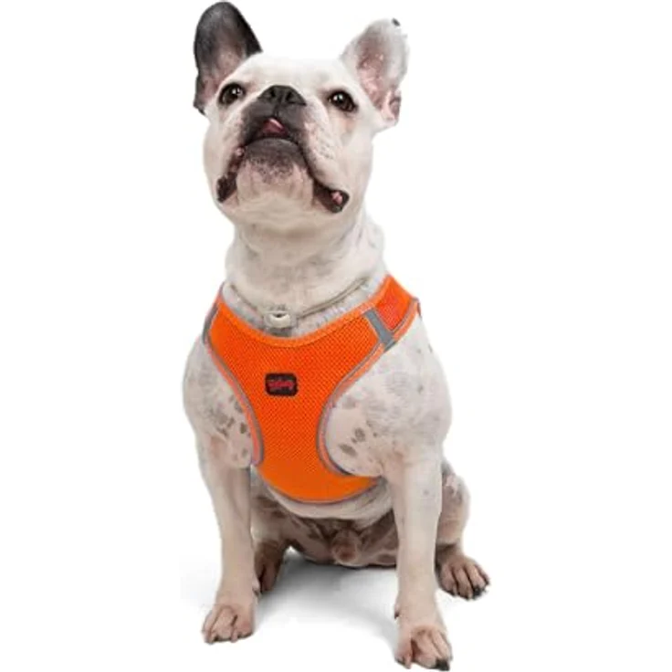 Tailpetz Air-Mesh Brustgeschirr, Weich und Atmungsaktiv für kleine und mittelgroße Katzen und Hunde, Neonorange, L (Brustumfang 59–63,5 cm) – Bild 1