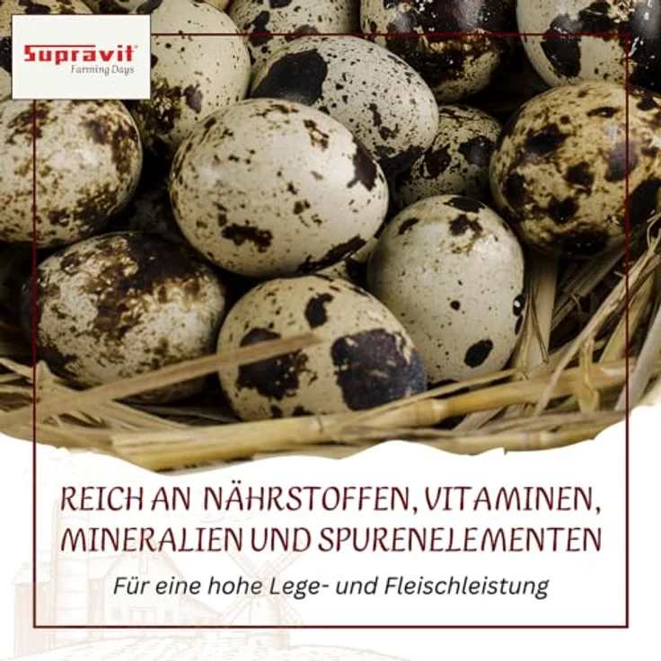 Supravit Geflügelkörnerfutter 5kg – 100 % naturnah & artgerecht, hochwertiges Alleinfutter für Hühner, Enten, Wachteln, ohne Gentechnik, ideal als Winter- oder Zusatzfutter – Bild 4