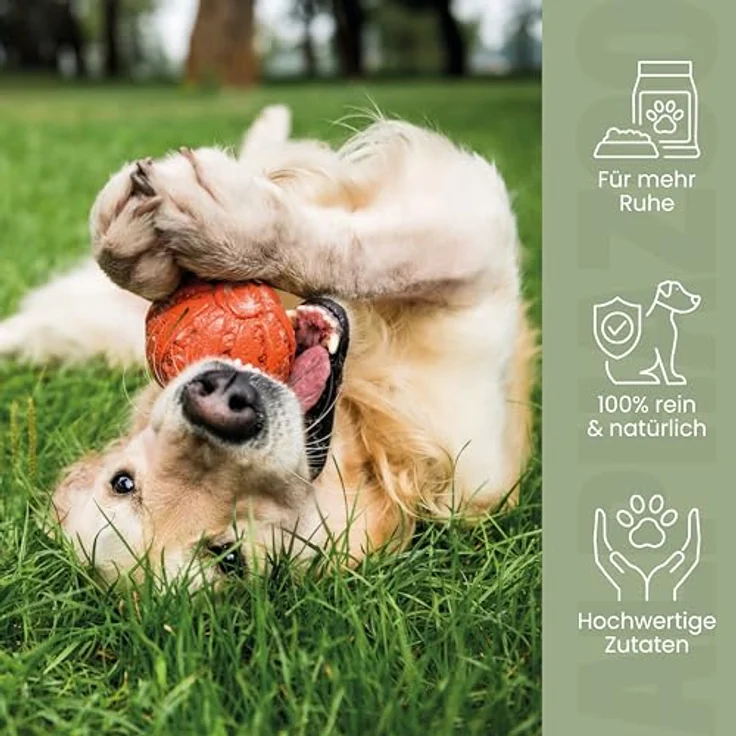 alphazoo Alpha-Zegg Futteröl für Hunde 500ml – natürliche Leinsamen-, Schwarzkümmel- & Mandelöl-Mischung zur Unterstützung von Haut, Fell & Abwehrkräften in der Zeckenzeit – Bild 5