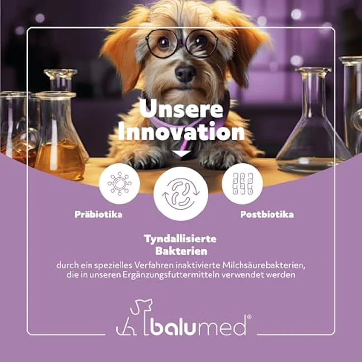 balumed® Snacks Magen+Darm, hochkonzentrierte Hundeleckerli mit Fenchelsamen & Flohsamenschalen, Präbiotika, Postbiotika, Kamillenblüten, Bierhefe, Omega-3, 325 g – Bild 4