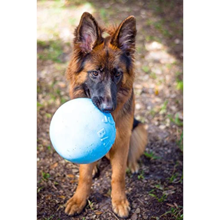 Jolly Pets Ball Bounce-n Play 20cm Baby Blue (Blue Berry Smell) - (JOLL068JM), Hundespielzeug – Bild 2