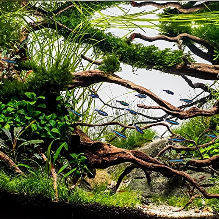Aquaone JP-092 Innenfilter, 250 L/h Förderpumpe für Aquarien bis 40 Liter, energiesparend und leise – Bild 7