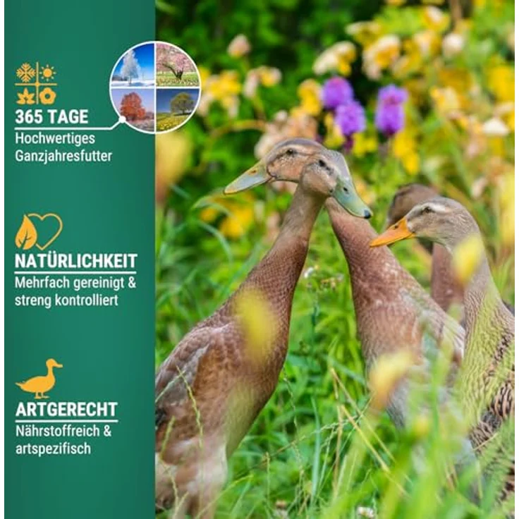 Agrarzone Entenfutter Laufenten, 20 kg Hochwertiges Futter ohne Gentechnik für gesunde Enten und Wassergeflügel – Bild 4