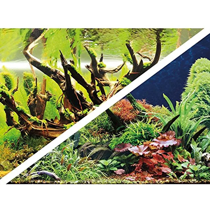Hobby 31061 Green Secret / Wood Island, Fotorückwand 100 x 50 cm mit zwei Bildmotiven für Aquarien-Dekoration