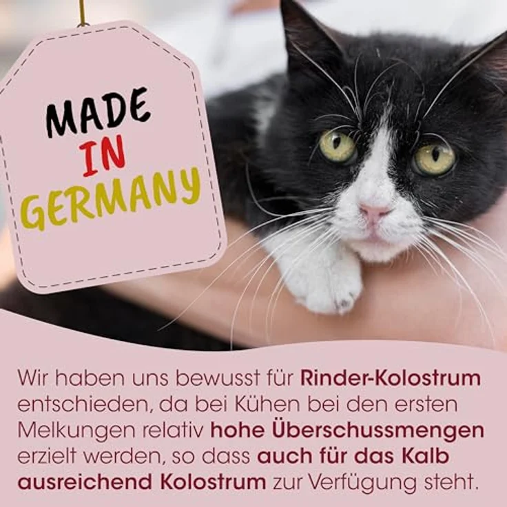 cdVet ImmunKraft, 30g gefriergetrocknetes Rinderkolostrum zur Stärkung des Immunsystems bei Katzen, 1er Pack – Bild 4