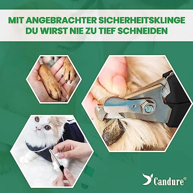 Candure Profi Krallenschere für Hunde und Katzen, Edelstahl Krallenzange mit Nagelfeile und Sicherheitsschutz, ergonomisch und rutschfest, Klein (S), Grün – Bild 3