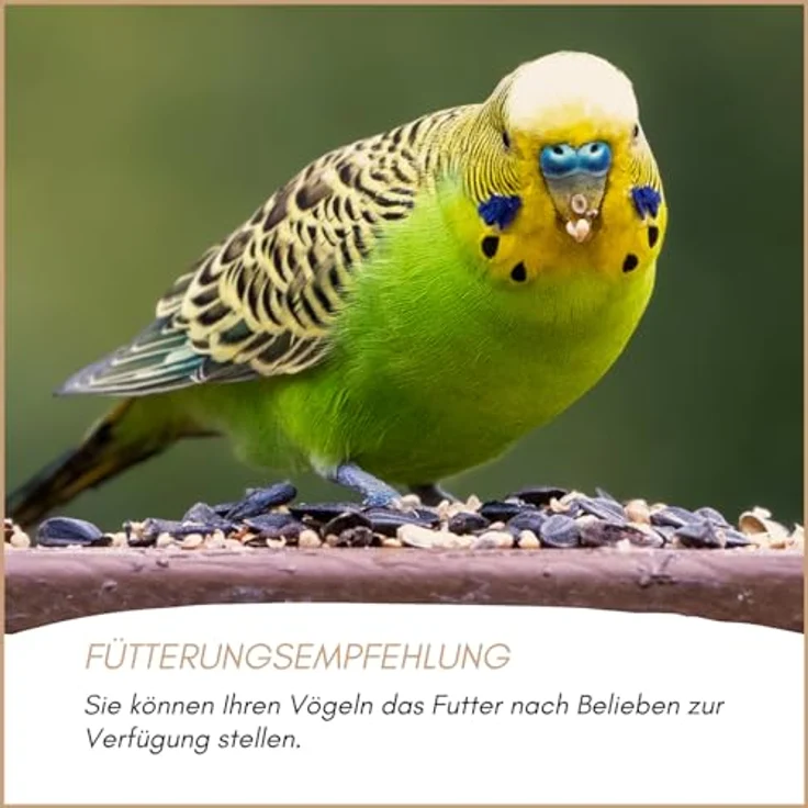 Supravit Wellensittichfutter Zucht 5kg – hochwertige Zuchtmischung für Wellensittiche & kleine Sitticharten, Jungvogelfutter & Mauserfutter zur Förderung der Zucht – Bild 5