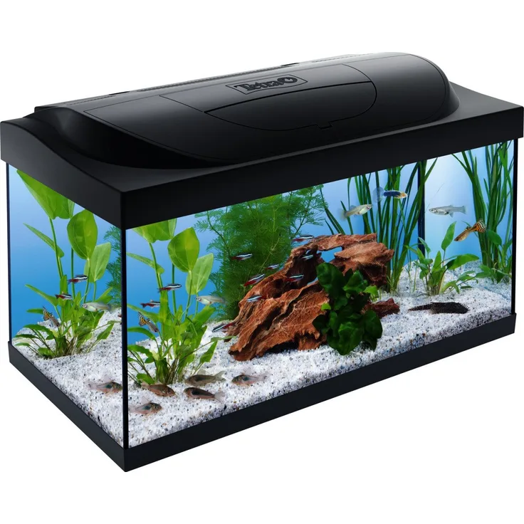 Tetra Aquarium-Komplettset LED Kleine Forscher 54 L, energiesparende LED-Beleuchtung, Tetra EasyCrystal Filter, schwarz