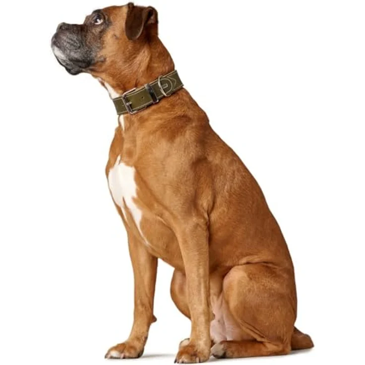 Hunter Hunde-Halsband Aalborg Special oliv-grün L-XL – Bild 6