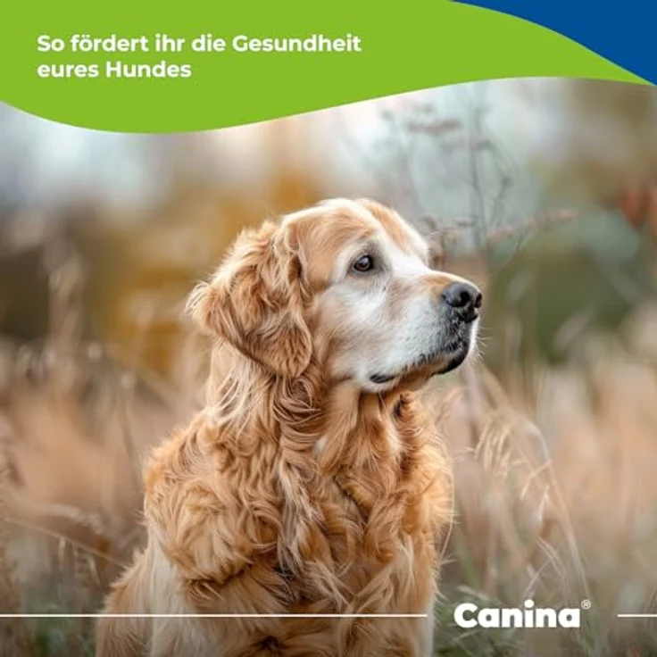 Canina V25 Vitamintabletten, 100g, fördert Blutbildung und Stoffwechsel, ideal für tragende und säugende Hündinnen – Bild 4