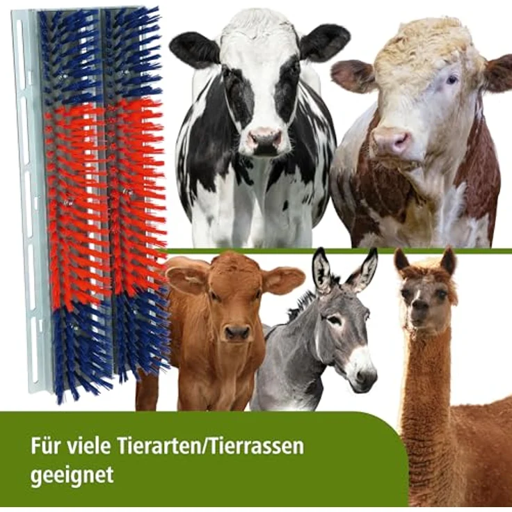 Kerbl Kratzbürste Bully für ITW Rindermast 293130, (1-tlg) mit integrierten Langlöchern, rot/blau – Bild 3
