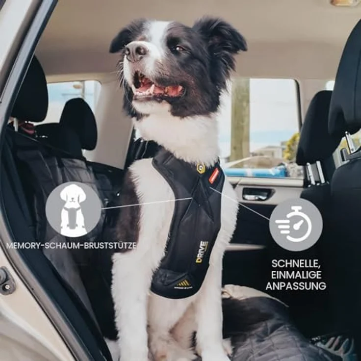 EzyDog Drive Autogeschirr für Hunde, Sicherheitsgeschirr mit integrierter Gurtbefestigung, Größe S, Schwarz, ECE R21 zertifiziert – Bild 3