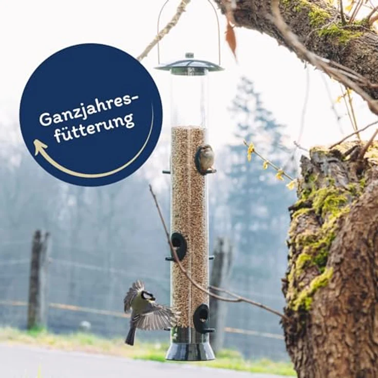 Lyra Pet® Sonnenblumenkerne geschält, 25 kg Vogelfutter für Wildvögel, 100% naturrein, schalenfrei, energiereich – Bild 3