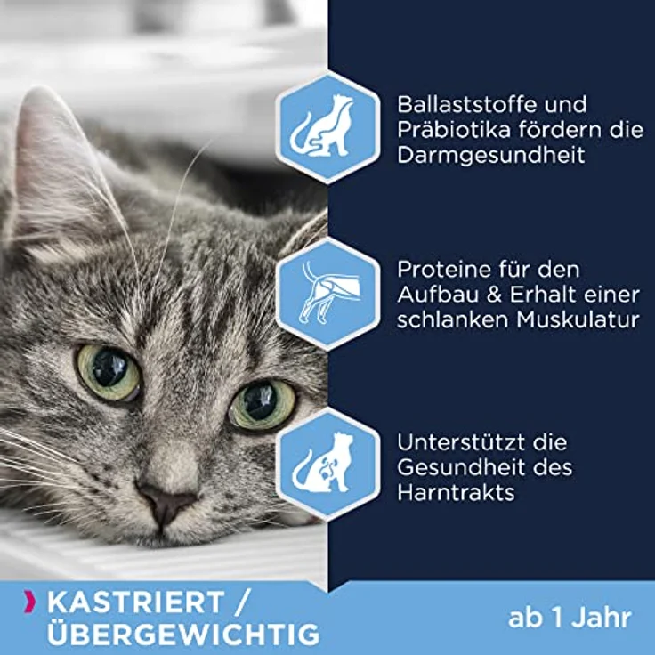 Eukanuba Sterilised Katzenfutter 2 kg, fettarmes Premium Trockenfutter zur Gewichtskontrolle für sterilisierten Katzen – Bild 4