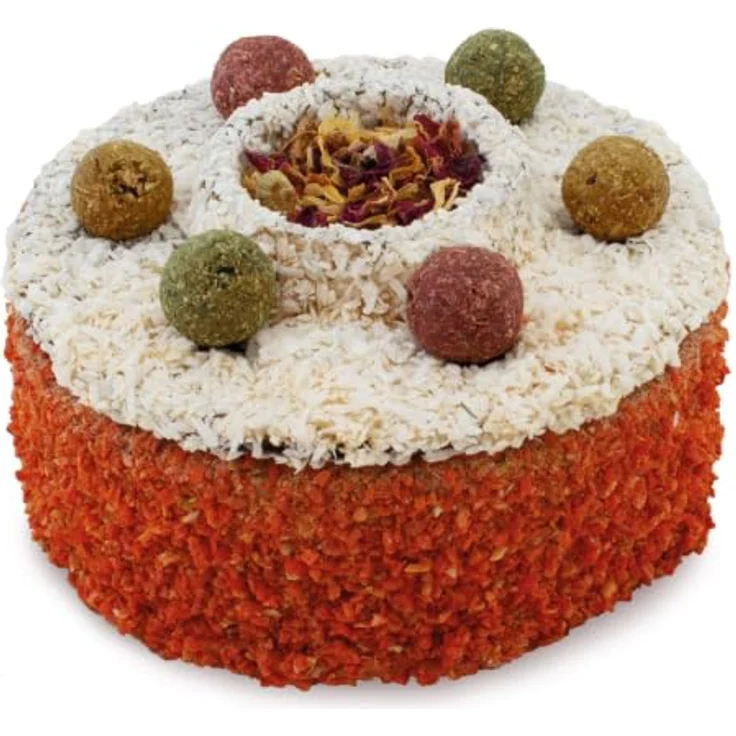 JR FARM Nager-Torte 200 g - Getreidefreies Kleintierfutter mit aromatischen Gräsern, Kräutern und vitaminreichen Karotten, Made in Germany – Bild 1