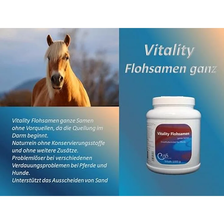 Barbara Seitz Vitality Flohsamen ganz Pferde, 1000 g, zur Unterstützung der Verdauung bei Kotwasser und Sandausscheidung, naturrein und ohne Zusatzstoffe – Bild 3