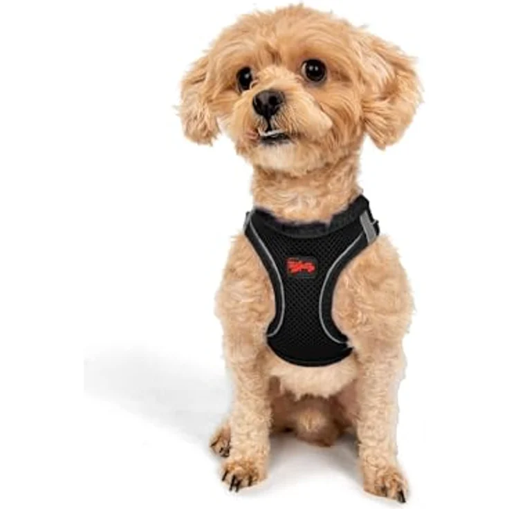 Tailpetz Air-Mesh Brustgeschirr für kleine und mittelgroße Katzen und Hunde – Weich, Atmungsaktiv, Strapazierfähig, Schwarz, 2XS (Brustumfang 30,5–33 cm) – Bild 1