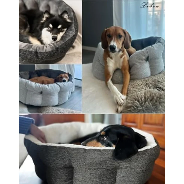 Lebon Hundebett Wilma, Hochwertig und Made in EU, 75x65x25cm, Kuschelweich, Hoher Rand, Waschbar, Bester Liegekomfort, Schwarz – Bild 3