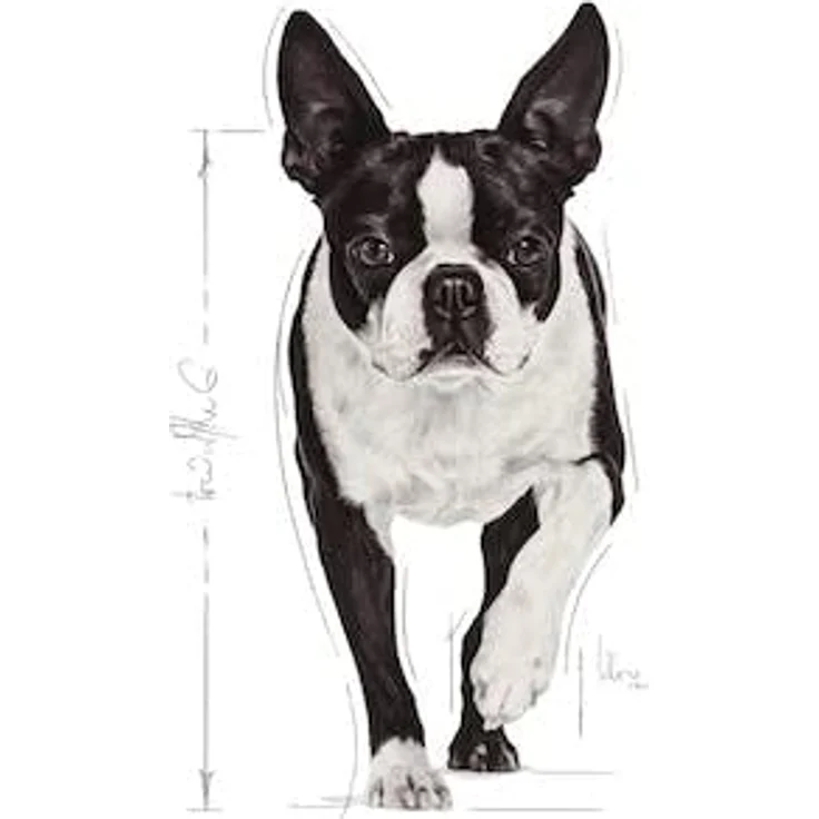 Royal Canin Relax Care Mini, Hundefutter für emotionale Balance, 3 kg – Bild 3