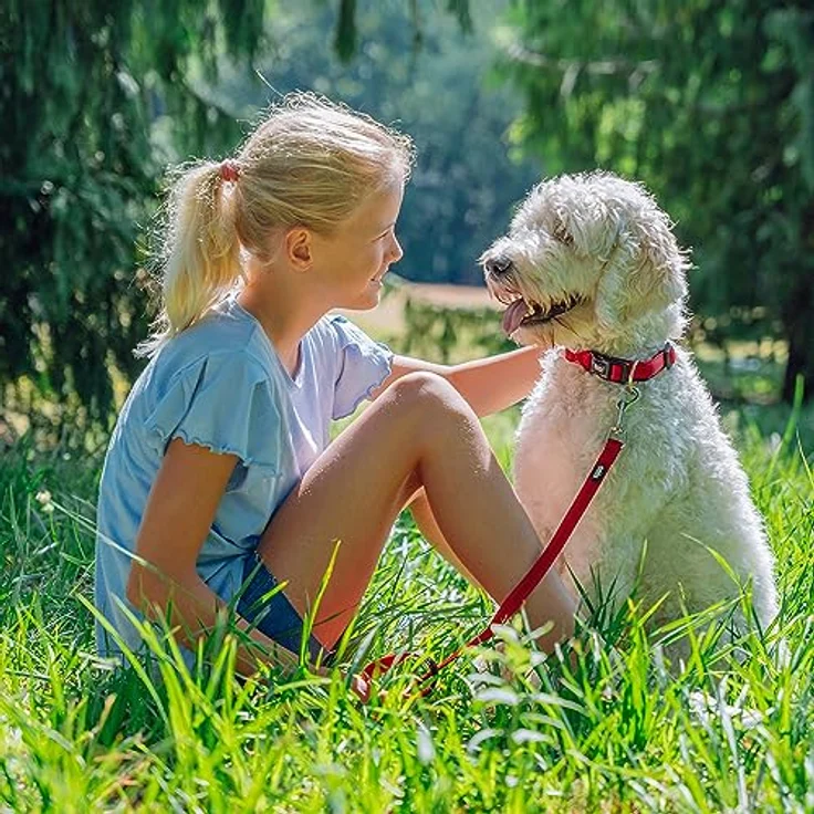Nobby Halsband Soft Grip, rot, stufenlos verstellbar mit weichem Griff, L: 30/45 cm, B: 20 mm – Bild 2