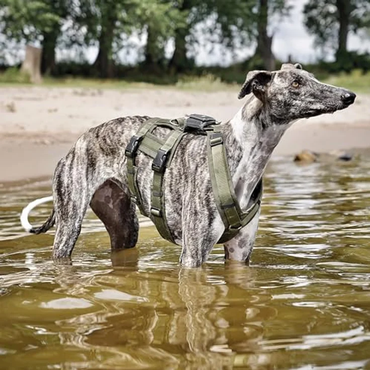 AnnyX Hunde-Sicherheitsgeschirr Brustgeschirr Safety Fun - Sicherheitsgeschirr, Nylon, Individuell einstellbar – Bild 6