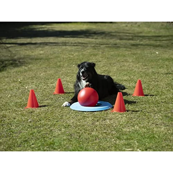 Procyon Tier-Intelligenzspielzeug Hunde Golf (Doggie-Golf Basis Set), Kunststoff, Packung (7-tlg) - Sportliche Herausforderung für aktive und clevere Hunde – Bild 5