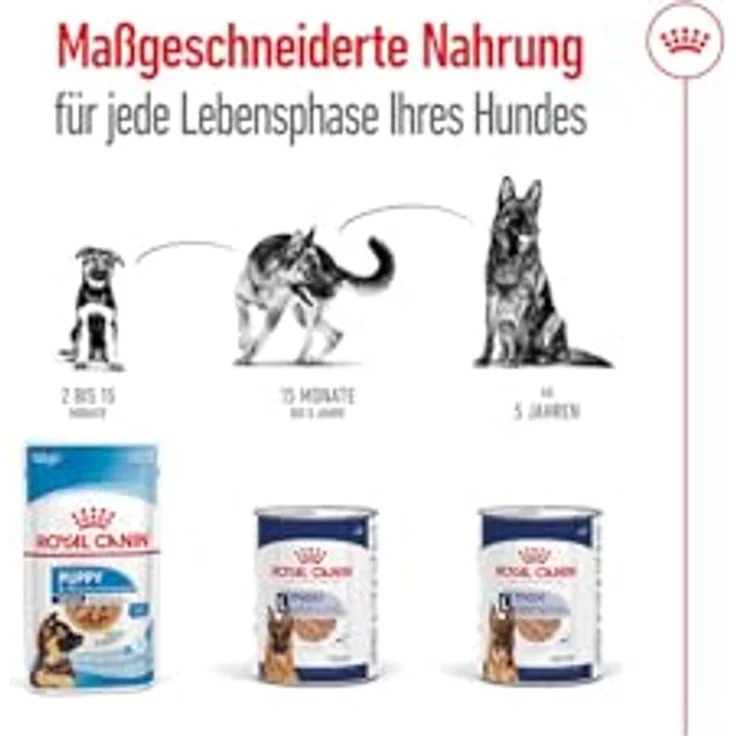 Royal Canin Maxi Ageing Mousse, 12 x 410 g, Alleinfuttermittel für große Hunde (26-44 kg), nährstoffreiche Feuchtnahrung für Senioren ab 5 Jahren – Bild 4
