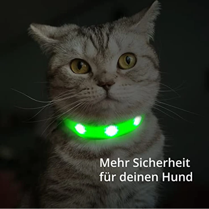 Petsation Leuchthalsband für Katzen [Das Original], LED Katzenhalsband mit starker Leuchtkraft & 3 Leuchtmodi, sehr lange Akkulaufzeit, Größe L, Rot – Bild 5