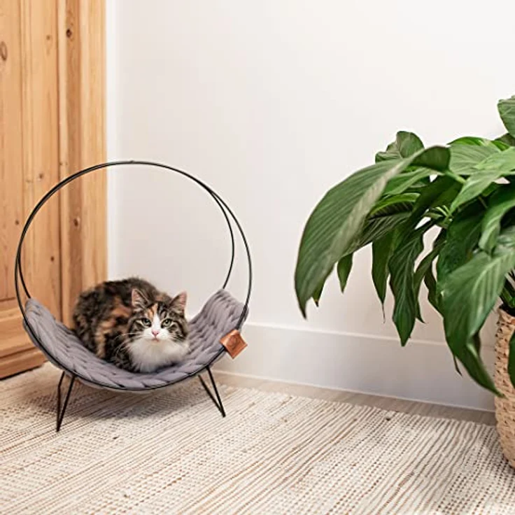 EBI D&D Home Quincy, elegantes erhöhtes Hundebett + Katzenbett aus Korbgeflecht, 34x46 cm – Bild 4