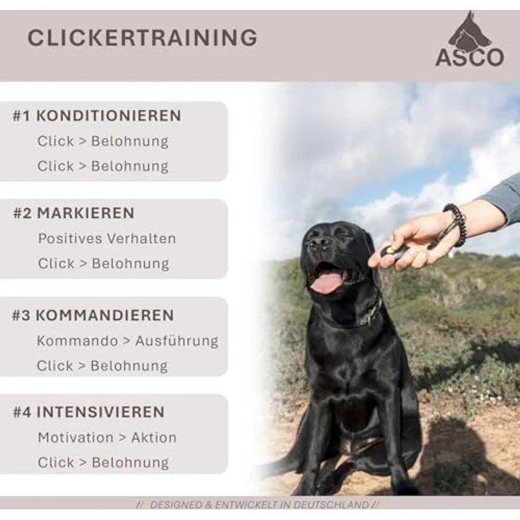 ASCO Finger Clicker AC05F, hochwertiger Clicker für Hunde, Katzen und Pferde, mit abnehmbarem Fingerring und Befestigungsband, Weiß – Bild 5
